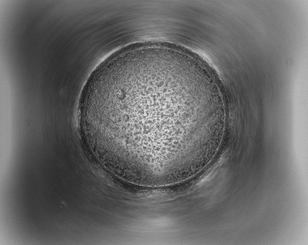 X0000093430879200710261017