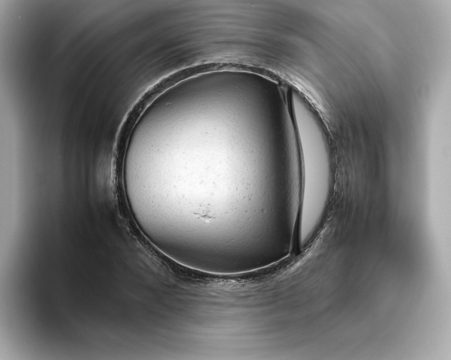 X0000093430880200710261017