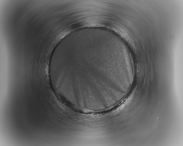 X0000093430881200710261017