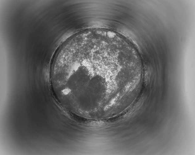 X0000093430882200710261017