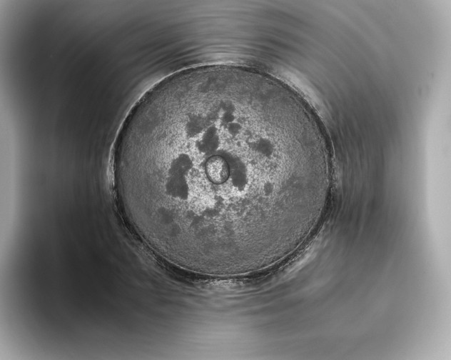 X0000093430883200710261017