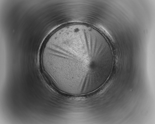 X0000093430884200710261017