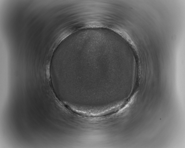 X0000093430889200710261017