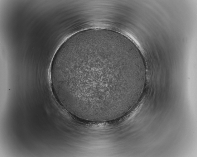 X0000093430891200710261017