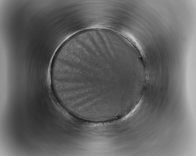 X0000093430892200710261017