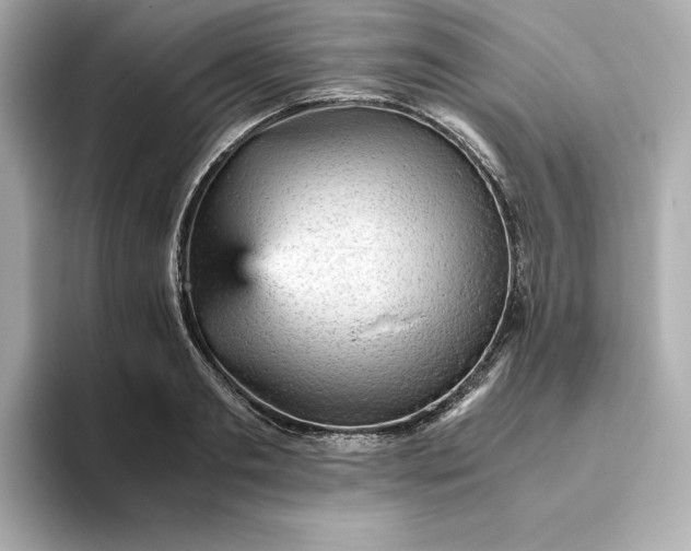 X0000093430893200710261017