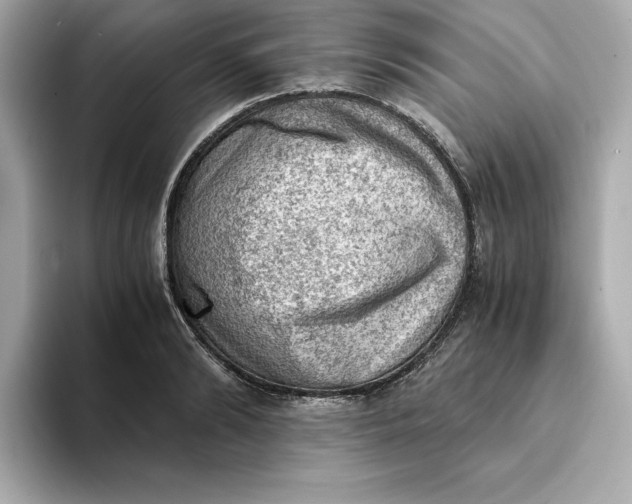 X0000093430894200710261017