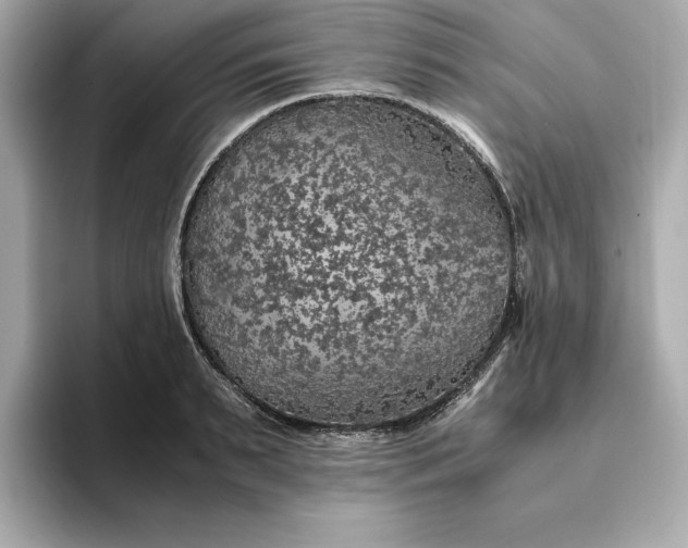 X0000093430895200710261017