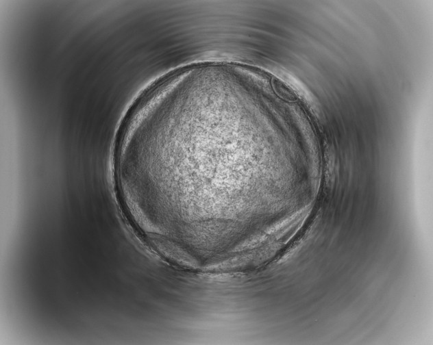 X0000093430896200710261017