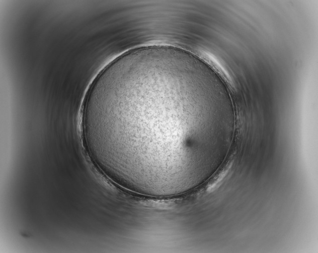 X0000093430900200710261017