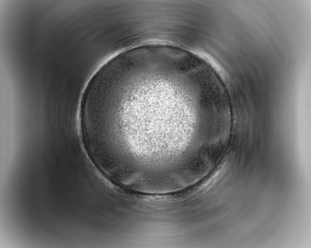 X0000093430902200710261017