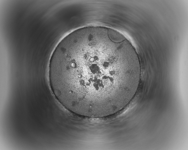 X0000093430903200710261017