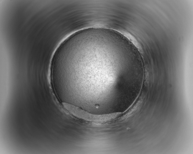 X0000093430904200710261017