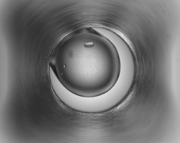 X0000093430905200710261017