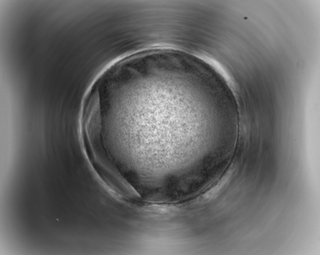 X0000093430910200710261017