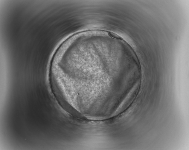 X0000093430912200710261017