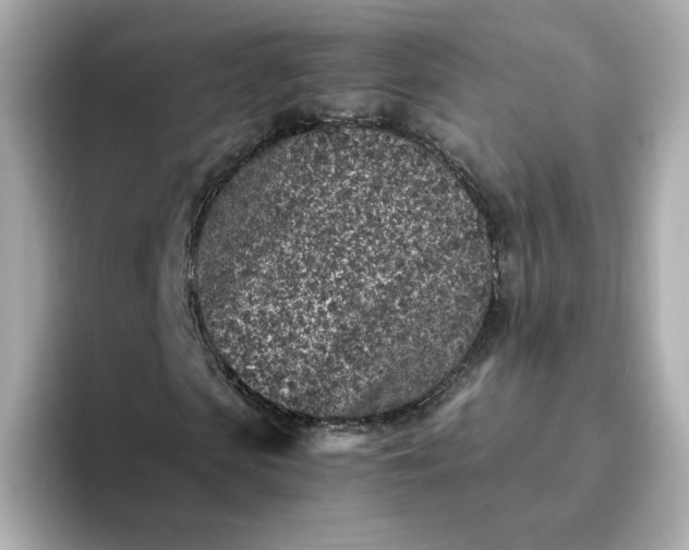 X0000093430913200710261016