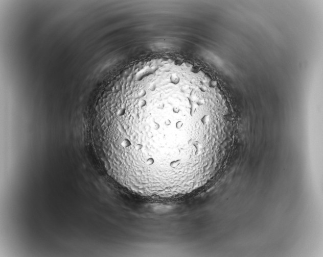 X0000093430917200710261016