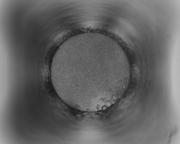 X0000093430918200710261016