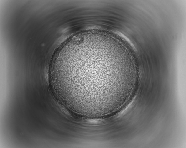 X0000093430921200710261016