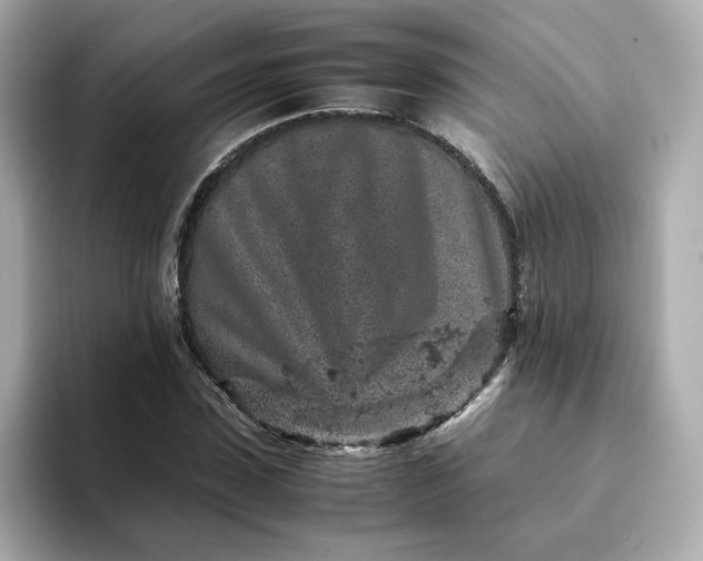 X0000093430923200710261016