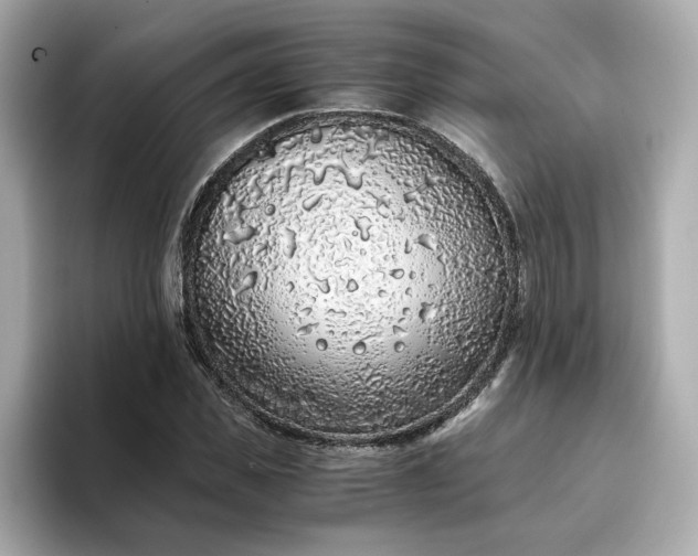 X0000093430925200710261016