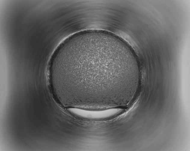 X0000093430926200710261016