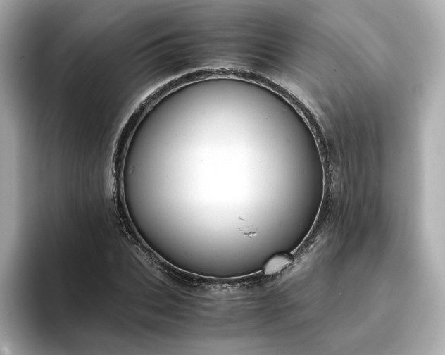 X0000093430927200710261016