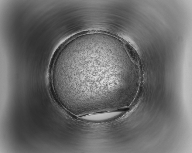 X0000093430928200710261016