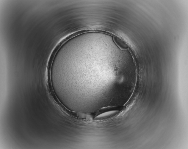 X0000093430932200710261016