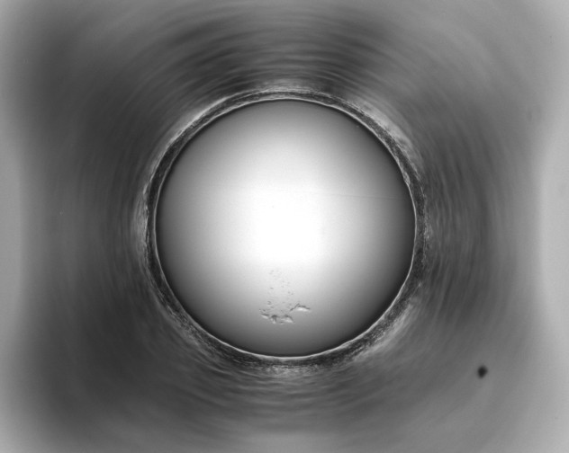 X0000093430933200710261016