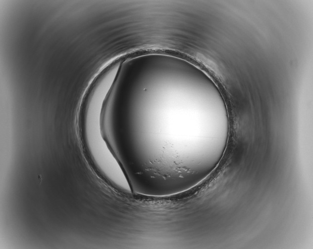 X0000093430934200710261016