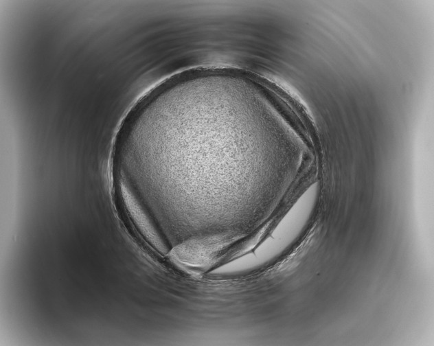 X0000093430935200710261016