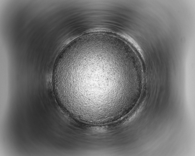 X0000093430937200710261016