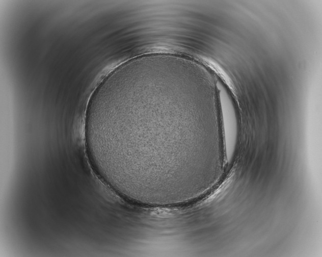 X0000093430938200710261016