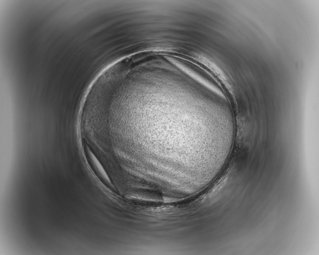 X0000093430939200710261016