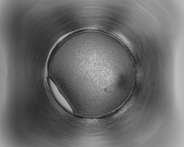 X0000093430940200710261016