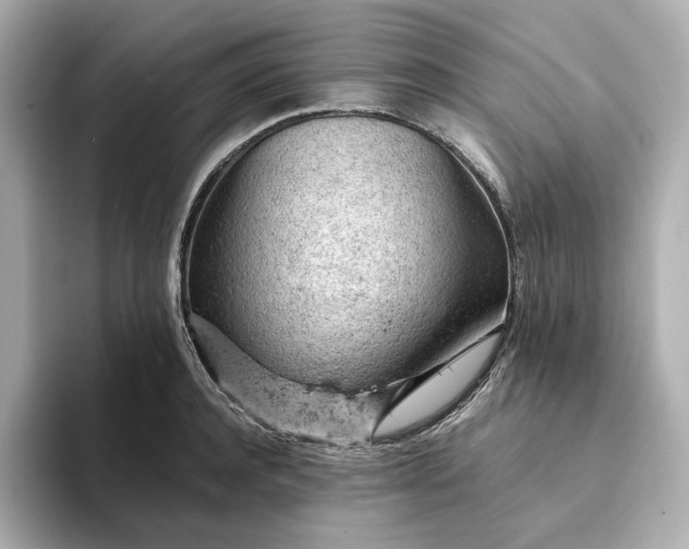 X0000093430944200710261017