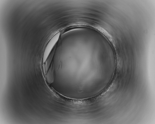 X0000093430945200710261017