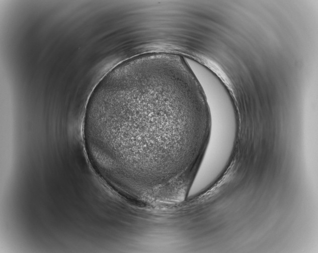 X0000093430946200710261017