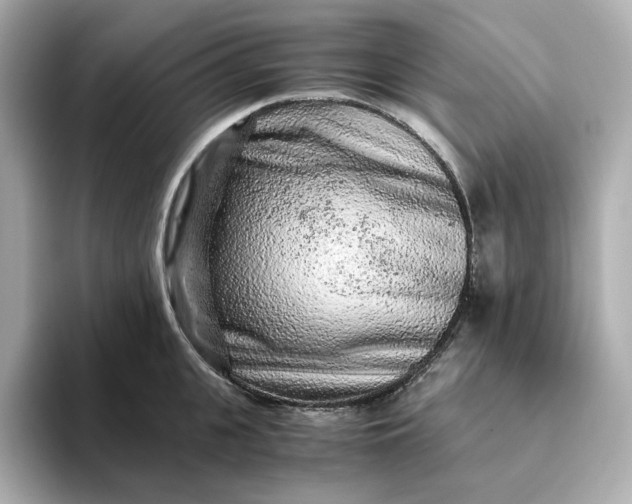 X0000093430951200710261017