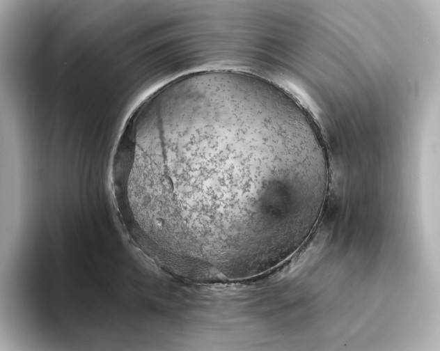 X0000093430952200710261017