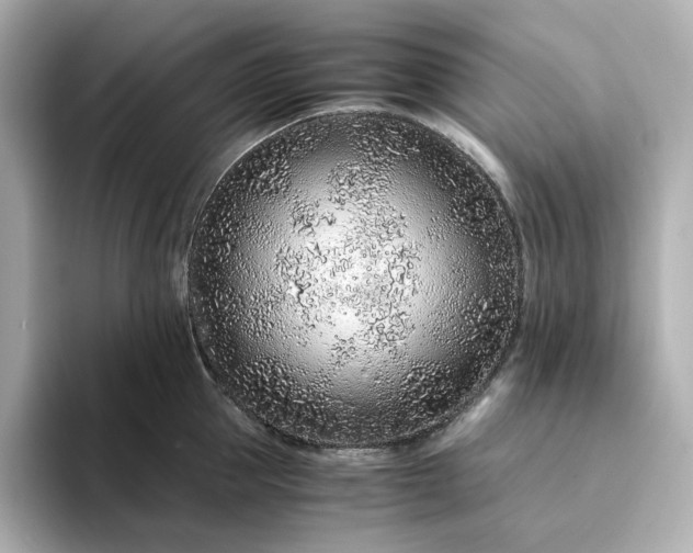 X0000093430953200710261017