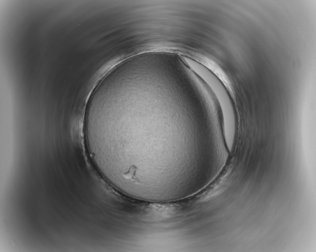 X0000093430954200710261017