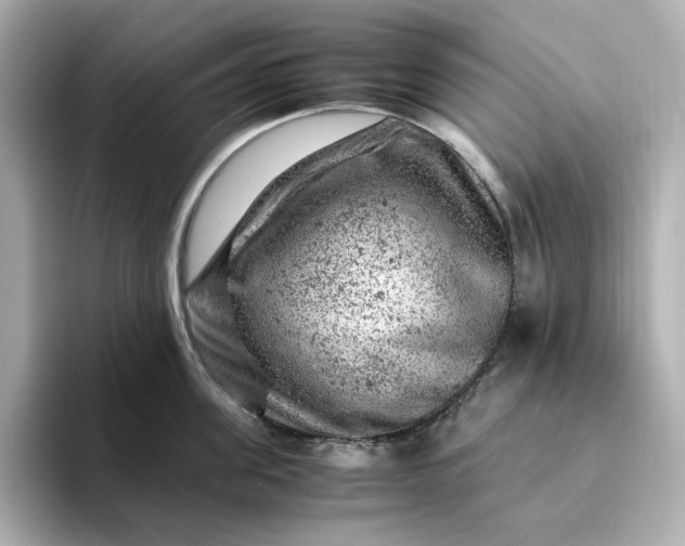 X0000093430955200710261017