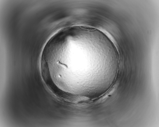 X0000093430957200710261017