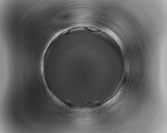 X0000093430958200710261017