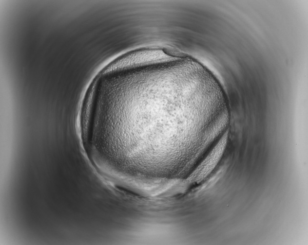 X0000093430959200710261017