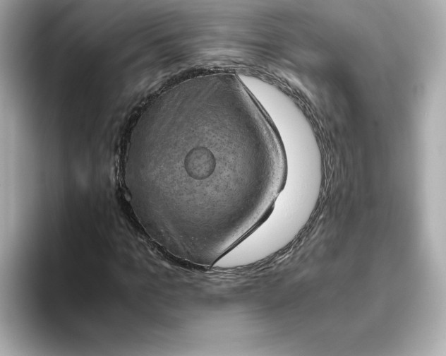 X0000093430965200710261016