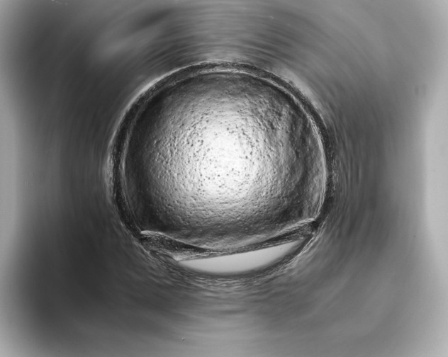 X0000093430975200710261016